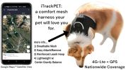 Long Range Tracking Pet Tracker GSM GPS Tracking Collars for Hunting Dogs Size:XXL