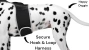 Wireless GPS Tracking Collars for Hunting Dogs Realtime Tracking Tool Size:XXL