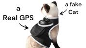 Long Range Tracking Pet Tracker GSM GPS Tracking Collars for Hunting Dogs Size:XXL