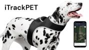 Rechargeable Pocket GPS GSM Tracking Collars for Hunting Dogs Realtime Size:XXL