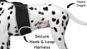 Waterproof Tracking Collars for Hunting Dogs Realtime GPS Pet Tracker Size:L